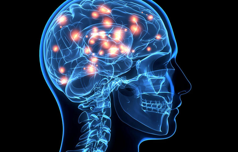 Faszination Gehirn: Unser Gedächtnis